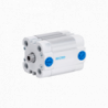 Cilindro compacto CP10 DE I VM diam 100mm carrera 100mm