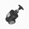 Válvula Reg. Caudal - Línea - 1" NPT - 100 l/min