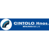 CINTOLO